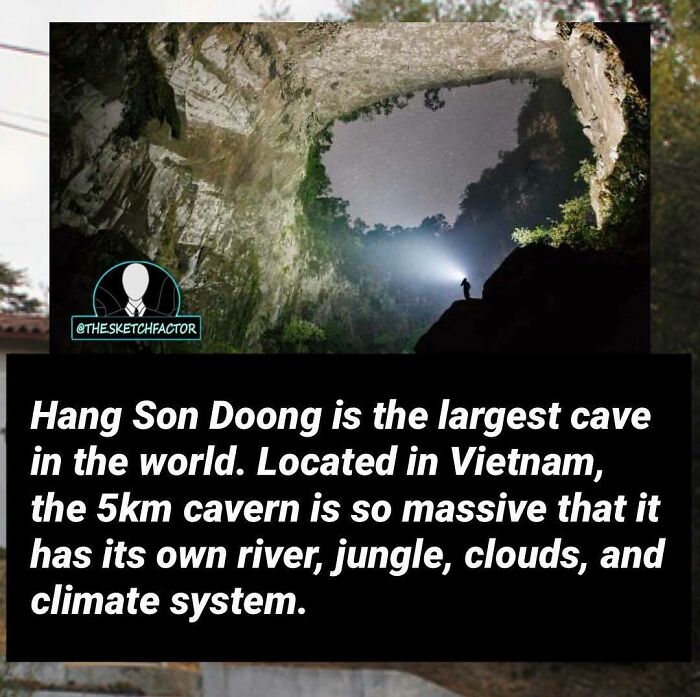 119 Disturbing And Morbid Facts That Might Freak You Out A Bit, As Shared By This Insta Page