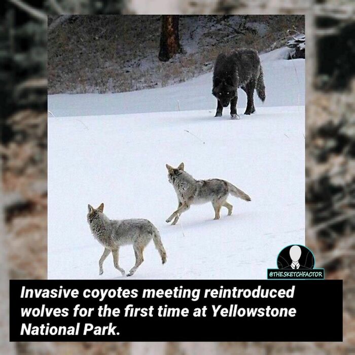 119 Disturbing And Morbid Facts That Might Freak You Out A Bit, As Shared By This Insta Page