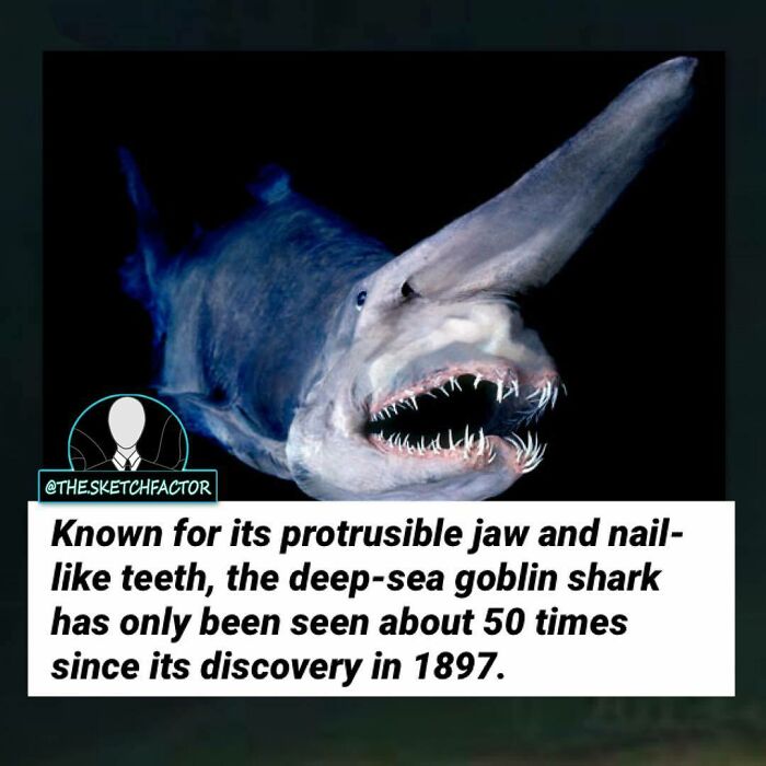 119 Disturbing And Morbid Facts That Might Freak You Out A Bit, As Shared By This Insta Page