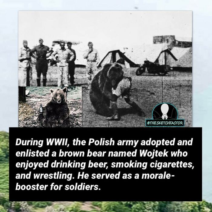 119 Disturbing And Morbid Facts That Might Freak You Out A Bit, As Shared By This Insta Page