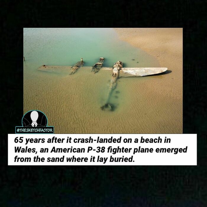 119 Disturbing And Morbid Facts That Might Freak You Out A Bit, As Shared By This Insta Page