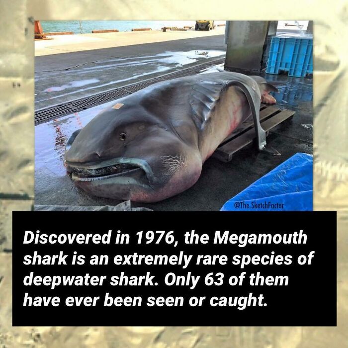 119 Disturbing And Morbid Facts That Might Freak You Out A Bit, As Shared By This Insta Page