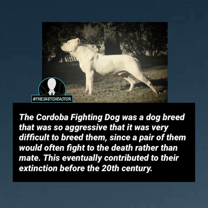 119 Disturbing And Morbid Facts That Might Freak You Out A Bit, As Shared By This Insta Page