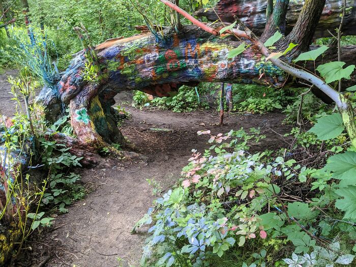 45 Creepy Forests You’d Better Not Walk In At Night 45 Creepy Forests You’d Better Not Walk In At Night