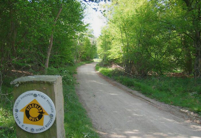 45 Creepy Forests You’d Better Not Walk In At Night 45 Creepy Forests You’d Better Not Walk In At Night