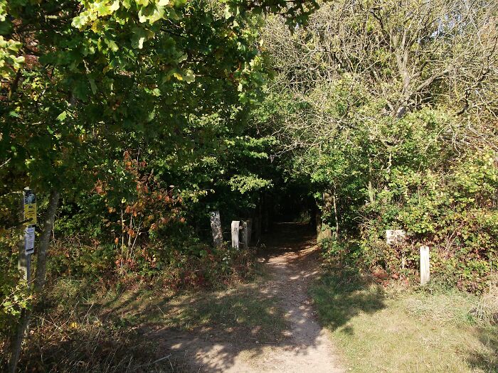 45 Creepy Forests You’d Better Not Walk In At Night 45 Creepy Forests You’d Better Not Walk In At Night