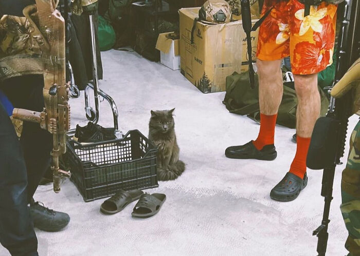 50 Photos Of Cats And Dogs Rescued By Ukrainian Soldiers, Shared By This Instagram Account 50 Photos Of Cats And Dogs Rescued By Ukrainian Soldiers, Shared By This Instagram Account