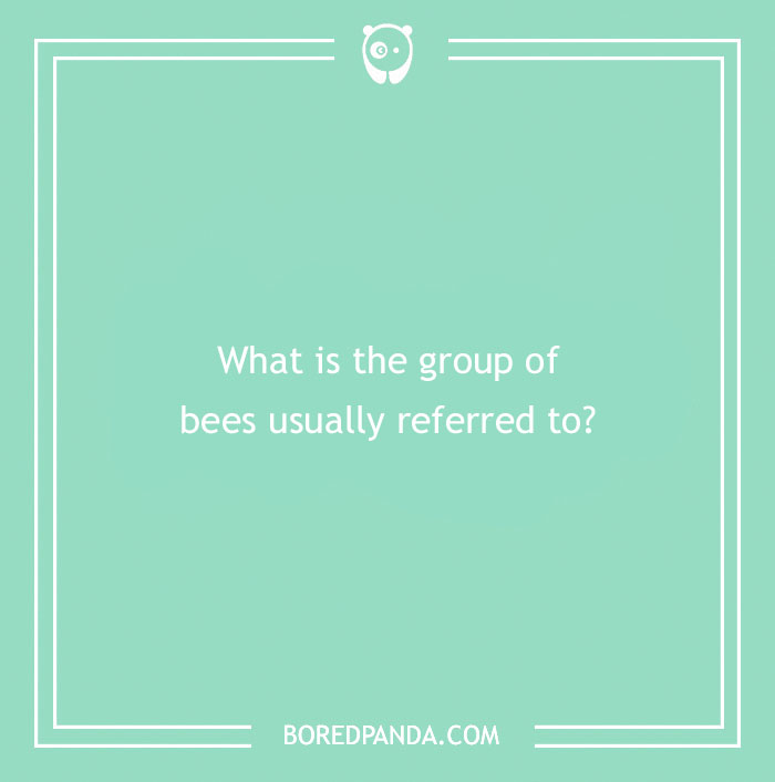 Answer These ‘Are You Smarter Than A 5th Grader’ Questions To See How Much You Remember From Elementary School Answer These ‘Are You Smarter Than A 5th Grader’ Questions To See How Much You Remember From Elementary School