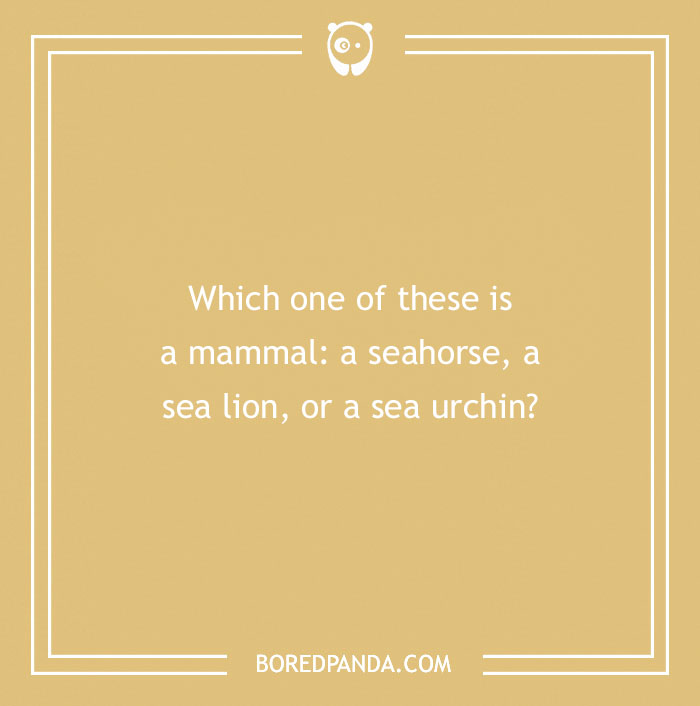 Answer These ‘Are You Smarter Than A 5th Grader’ Questions To See How Much You Remember From Elementary School Answer These ‘Are You Smarter Than A 5th Grader’ Questions To See How Much You Remember From Elementary School