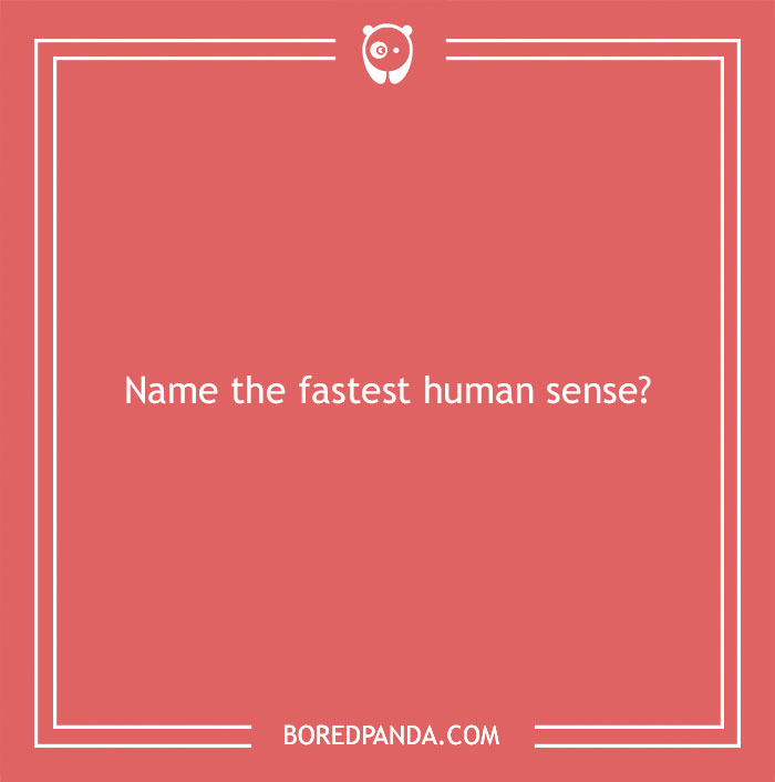 Answer These ‘Are You Smarter Than A 5th Grader’ Questions To See How Much You Remember From Elementary School