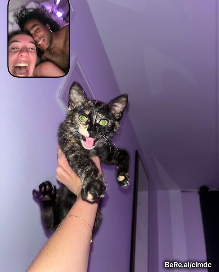 People Are Sharing Their Hilarious BeReal Pics, Here Are 35 Of The Funniest Ones