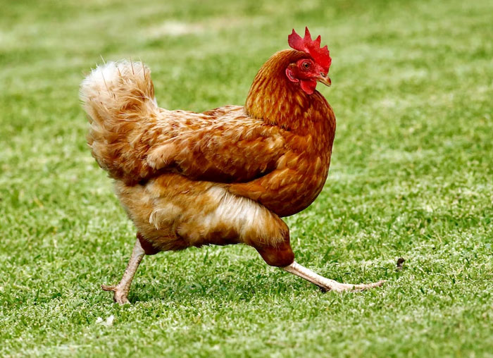 &#8220;A Tiny Piece Of Masking Tape Over A Coworker&#8217;s Mouse Laser&#8221;: 35 People Share Genius Yet Harmless Ways To Prank Others