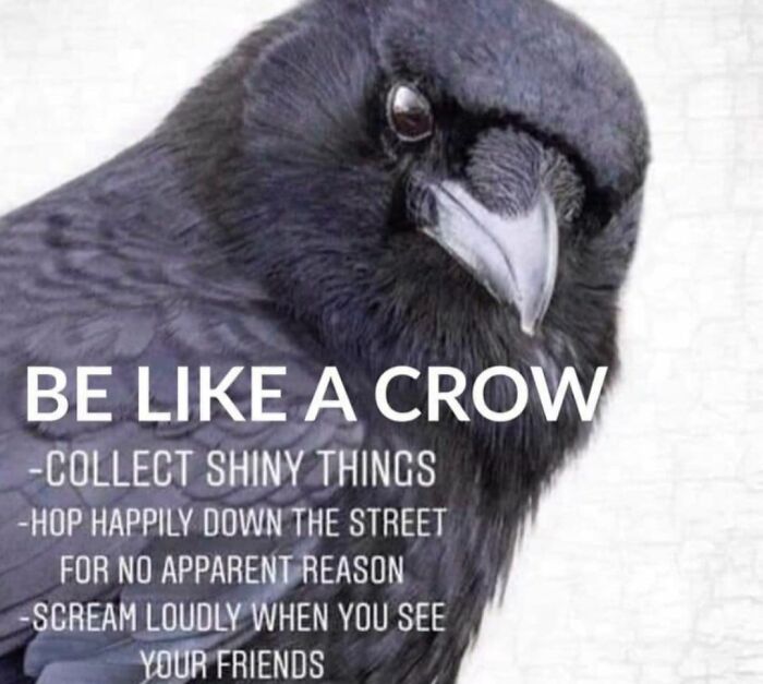 “Making Science Bad!”: 40 New Nerdy Posts Shared On This Page With 594k Followers “Making Science Bad!”: 40 New Nerdy Posts Shared On This Page With 594k Followers