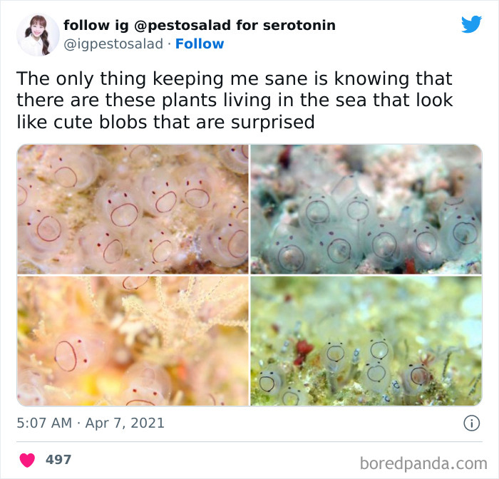 “Making Science Bad!”: 40 New Nerdy Posts Shared On This Page With 594k Followers “Making Science Bad!”: 40 New Nerdy Posts Shared On This Page With 594k Followers