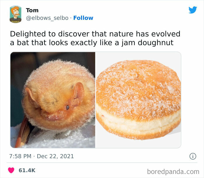 “Making Science Bad!”: 40 New Nerdy Posts Shared On This Page With 594k Followers “Making Science Bad!”: 40 New Nerdy Posts Shared On This Page With 594k Followers