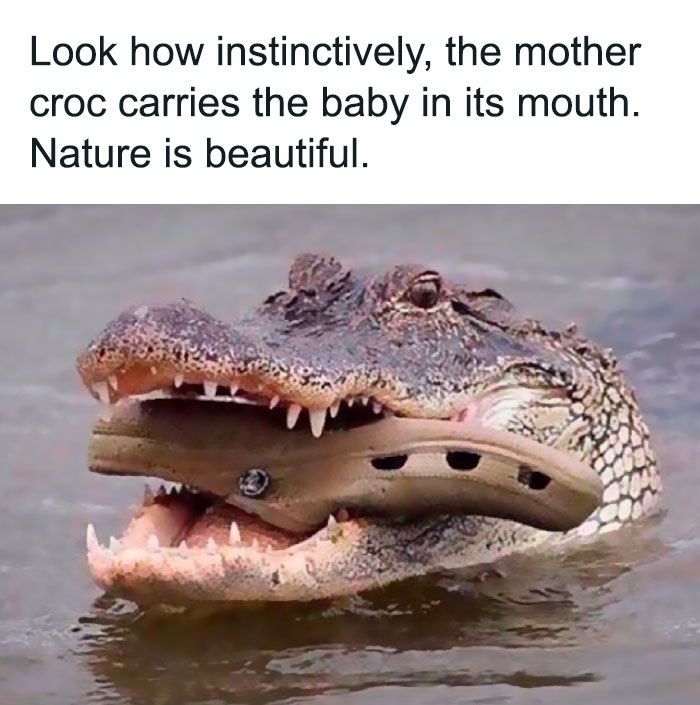 “Making Science Bad!”: 40 New Nerdy Posts Shared On This Page With 594k Followers “Making Science Bad!”: 40 New Nerdy Posts Shared On This Page With 594k Followers