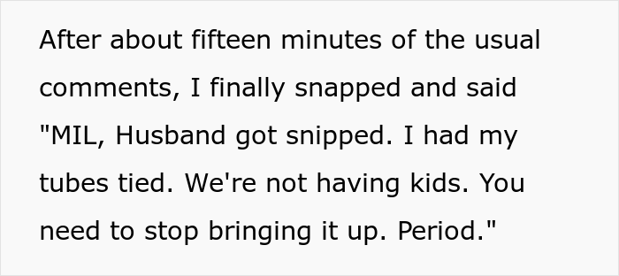 Childfree Woman Has Had Enough Of MIL Pushing For Kids, Finally Snaps And MIL Storms Off Crying, She Asks If She Went Too Far Childfree Woman Has Had Enough Of MIL Pushing For Kids, Finally Snaps And MIL Storms Off Crying, She Asks If She Went Too Far