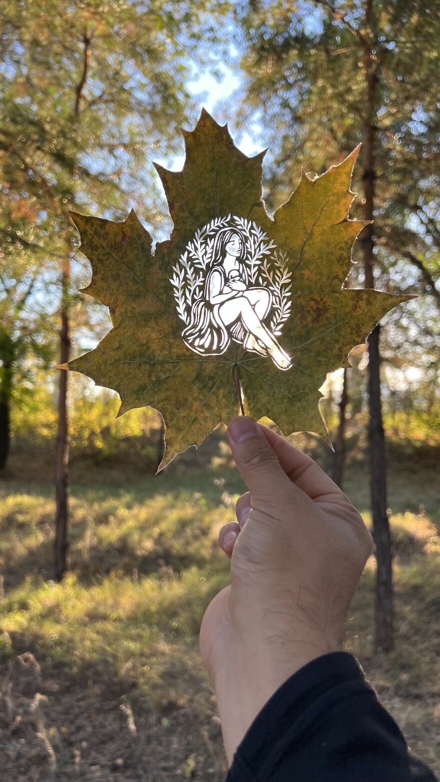 I Made Cutouts On A Real Tree Leaf (13 Pics)