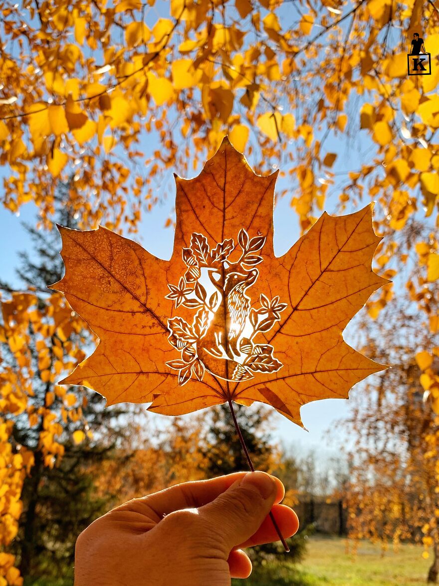 I Made Cutouts On A Real Tree Leaf (13 Pics)
