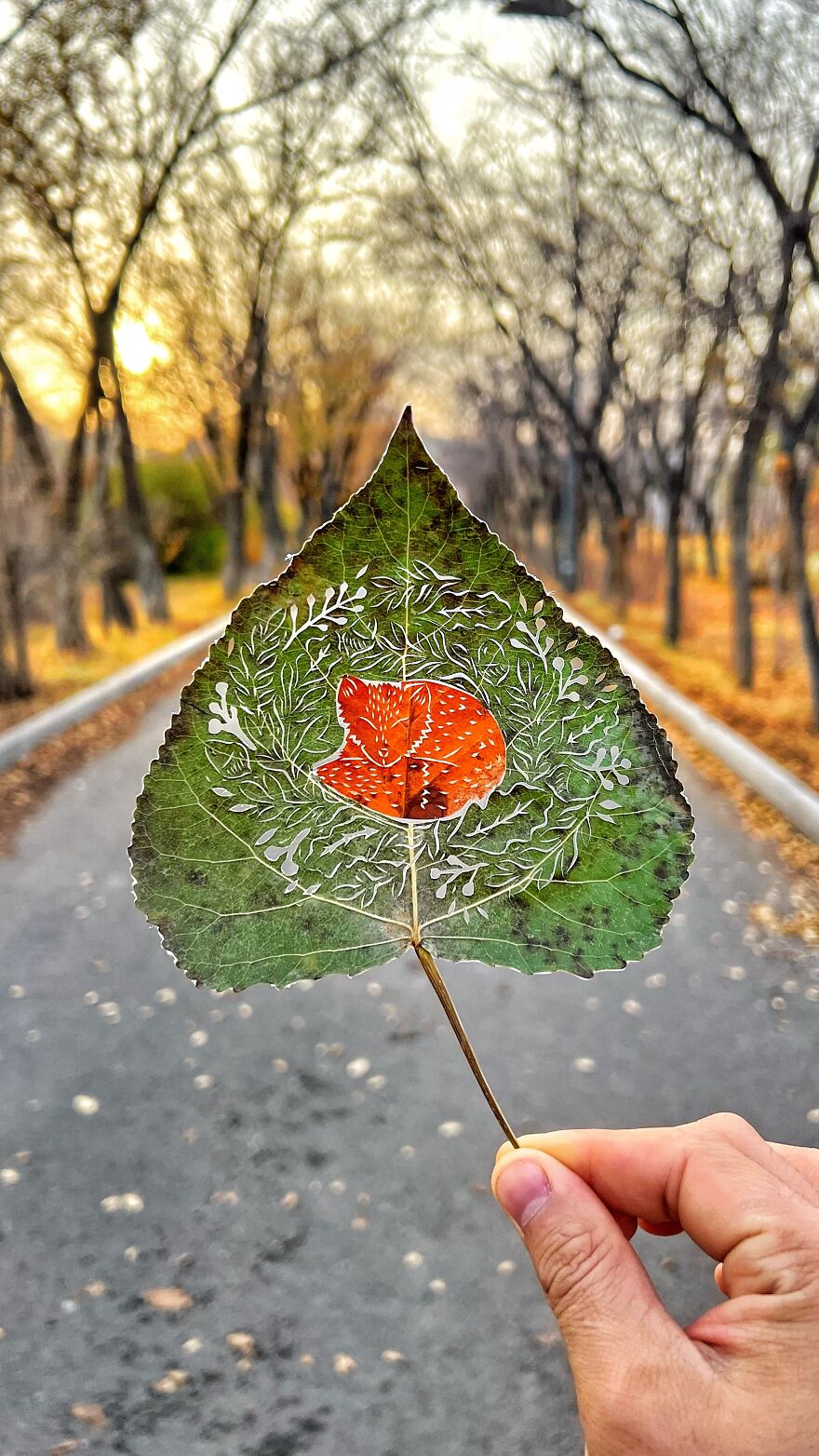 I Made Cutouts On A Real Tree Leaf (13 Pics)