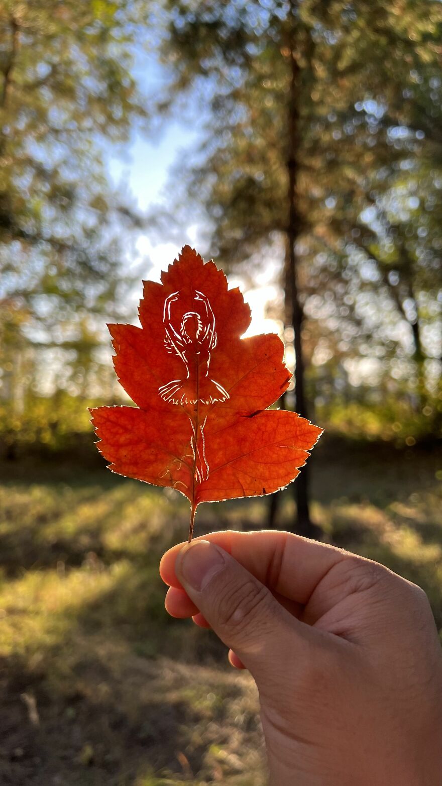 I Made Cutouts On A Real Tree Leaf (13 Pics) I Made Cutouts On A Real Tree Leaf (13 Pics)