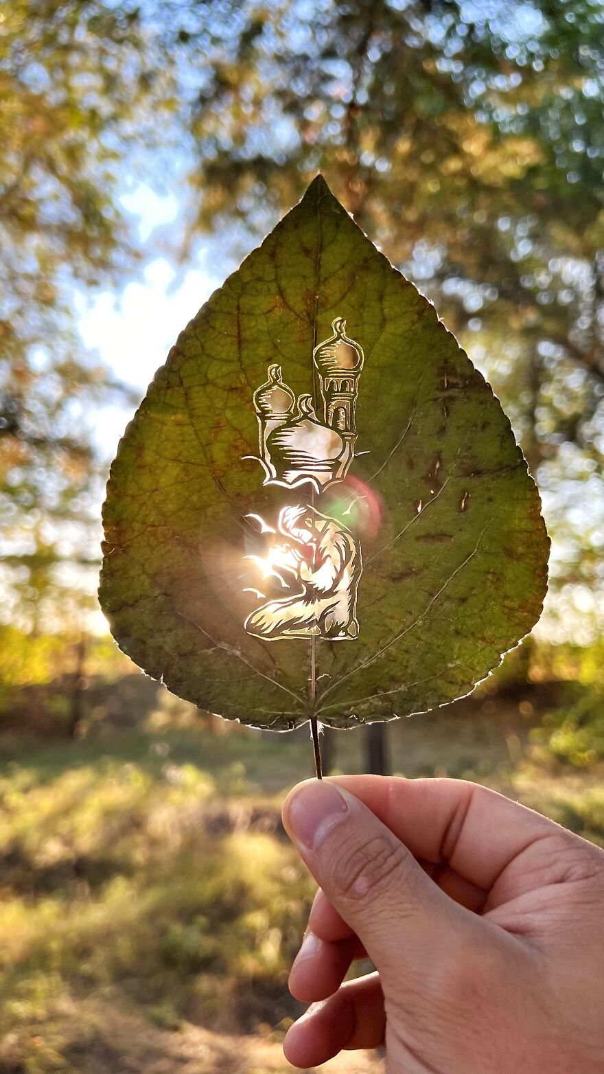 I Made Cutouts On A Real Tree Leaf (13 Pics) I Made Cutouts On A Real Tree Leaf (13 Pics)
