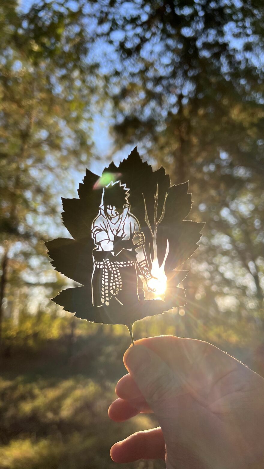 I Made Cutouts On A Real Tree Leaf (13 Pics)