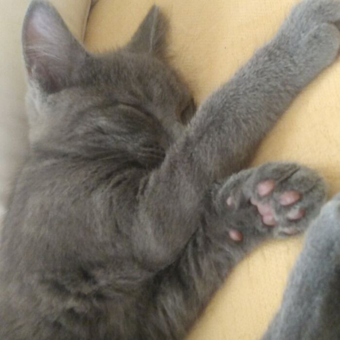 Hey Pandas, What Is The Most Epic Thing That You Own? (Closed) Hey Pandas, What Is The Most Epic Thing That You Own? (Closed)