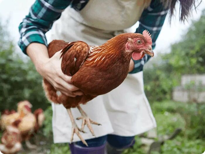 Hey Pandas, What Is The Most Epic Thing That You Own? (Closed) Hey Pandas, What Is The Most Epic Thing That You Own? (Closed)