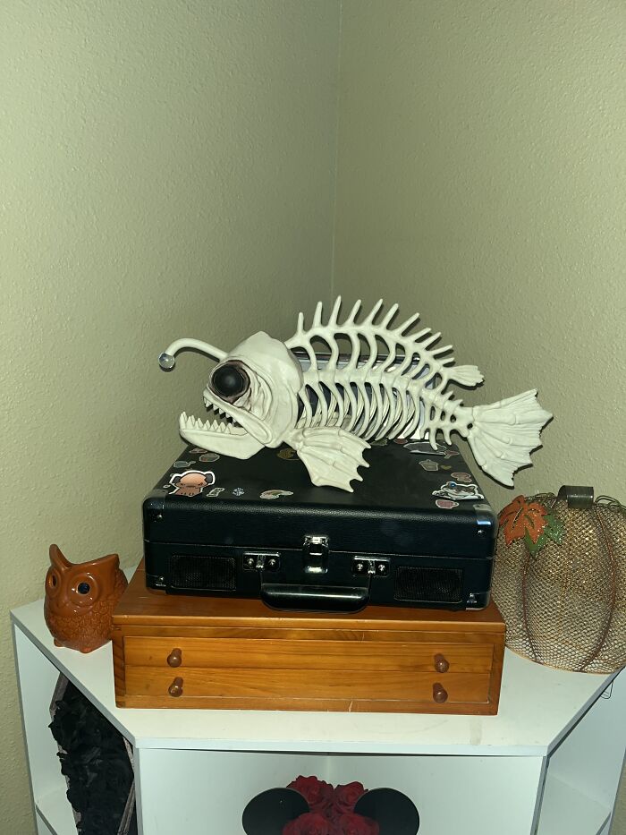 Hey Pandas, What Is The Most Epic Thing That You Own? (Closed) Hey Pandas, What Is The Most Epic Thing That You Own? (Closed)