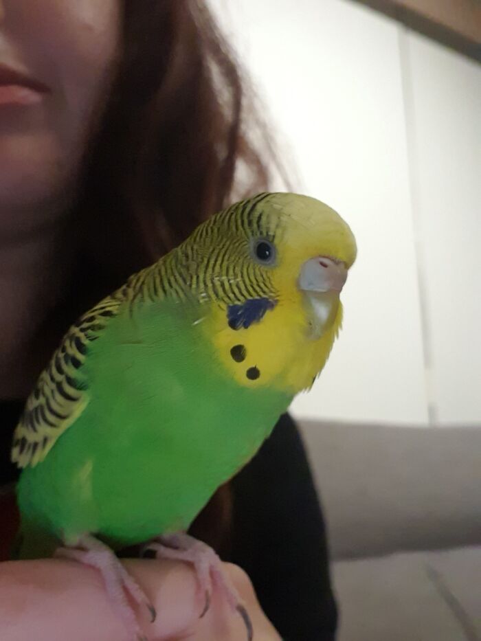 Hey Pandas, What Is The Most Epic Thing That You Own? (Closed) Hey Pandas, What Is The Most Epic Thing That You Own? (Closed)