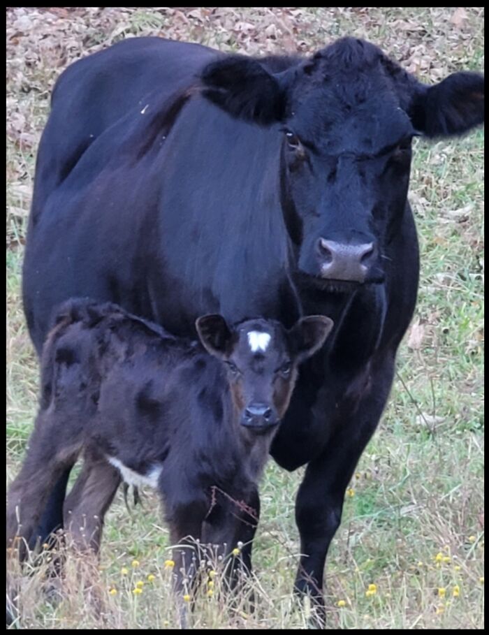 Hey Pandas, What Is The Most Epic Thing That You Own? (Closed) Hey Pandas, What Is The Most Epic Thing That You Own? (Closed)