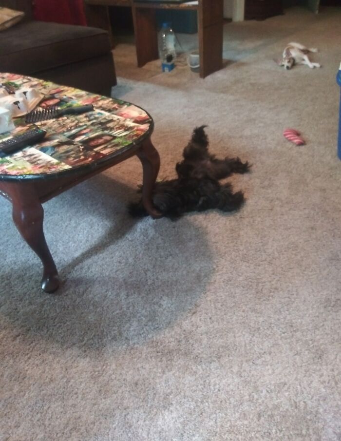 Hey Pandas, What Is The Most Epic Thing That You Own? (Closed) Hey Pandas, What Is The Most Epic Thing That You Own? (Closed)