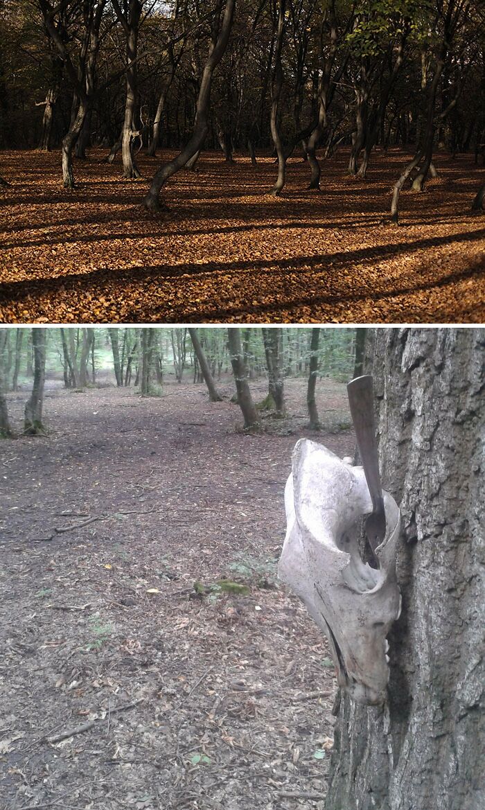 30 Creepy Places Around The World That Only The Bravest Travel To 30 Creepy Places Around The World That Only The Bravest Travel To