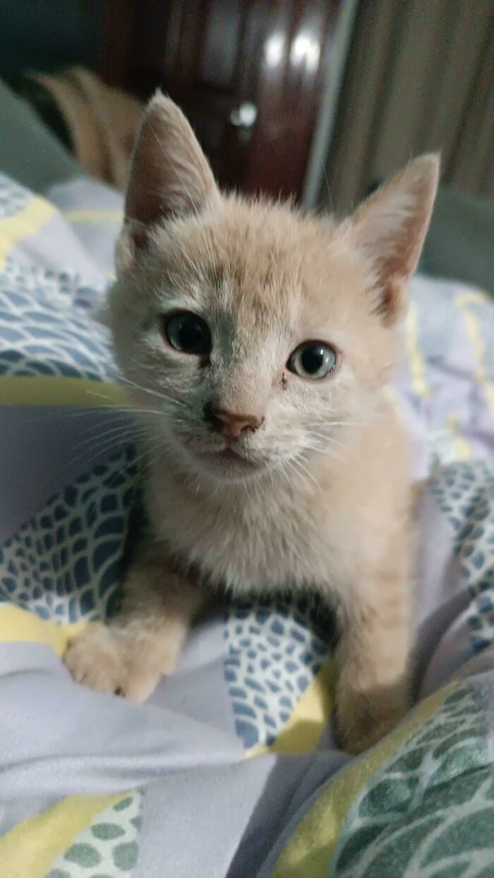 50 Wholesome Rescue Pet Pics To Heal Your Soul (October Edition) 50 Wholesome Rescue Pet Pics To Heal Your Soul (October Edition)