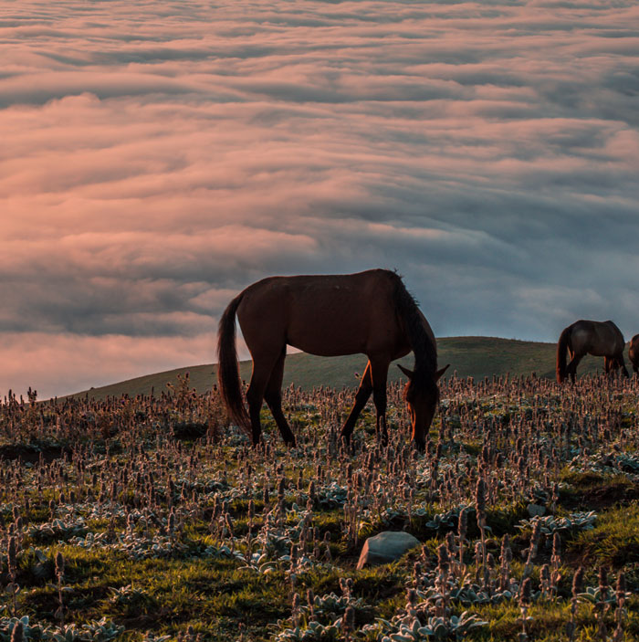 Non-Americans Share 30 Annoying Things Most American Tourists Do But Shouldn’t When Visiting Their Countries Non-Americans Share 30 Annoying Things Most American Tourists Do But Shouldn’t When Visiting Their Countries