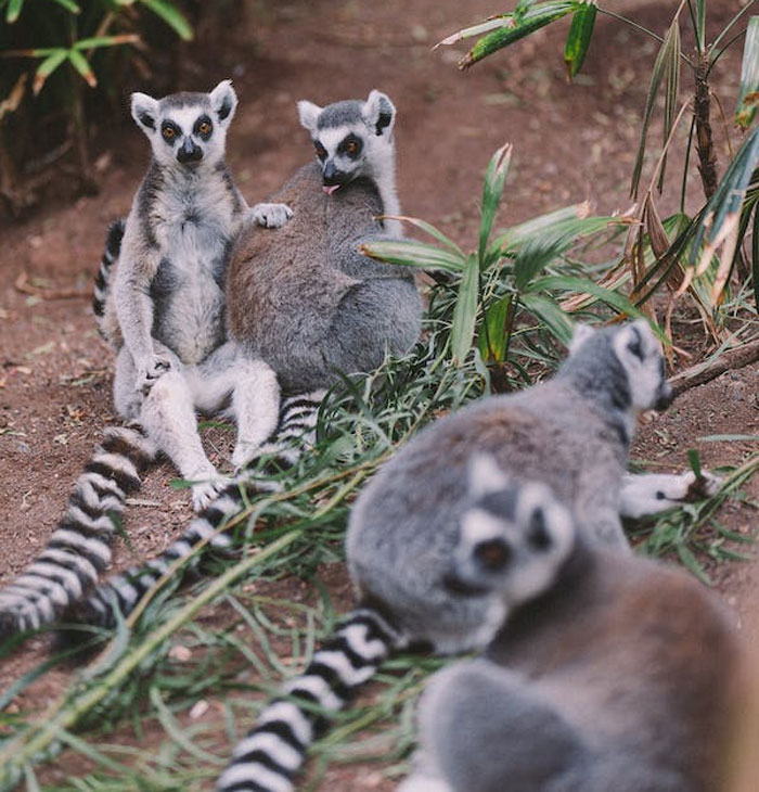 Non-Americans Share 30 Annoying Things Most American Tourists Do But Shouldn’t When Visiting Their Countries Non-Americans Share 30 Annoying Things Most American Tourists Do But Shouldn’t When Visiting Their Countries