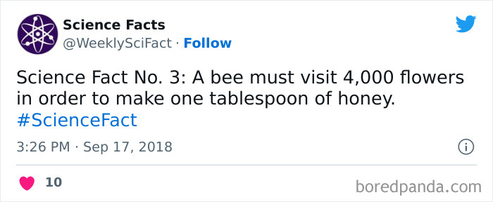 179 Science Facts That Are Deliciously Curious 179 Science Facts That Are Deliciously Curious