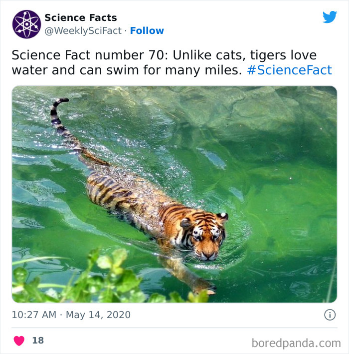 179 Science Facts That Are Deliciously Curious 179 Science Facts That Are Deliciously Curious