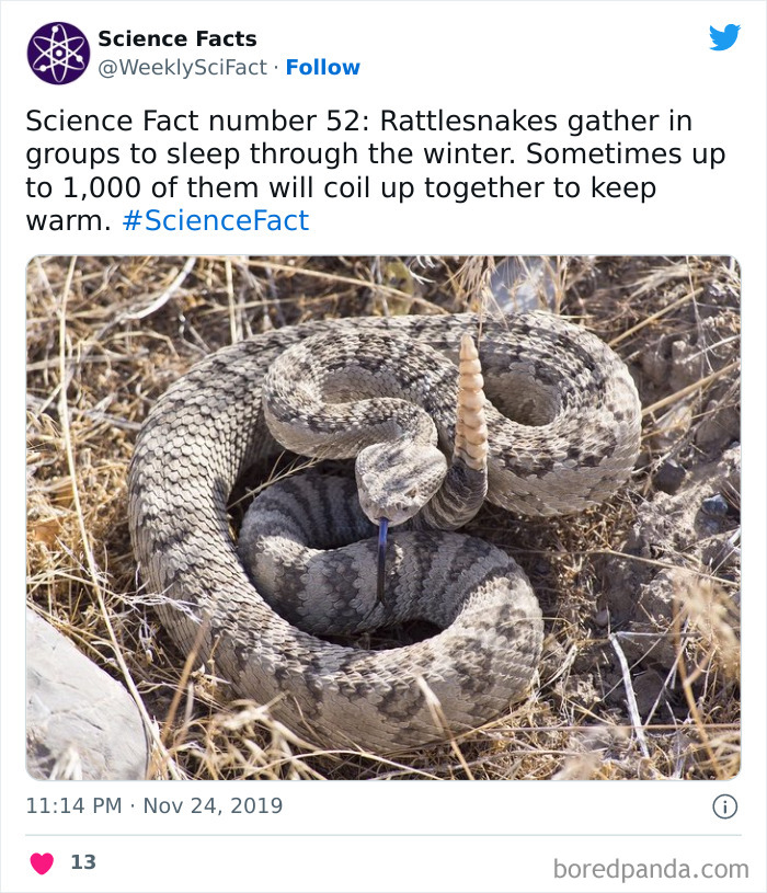 179 Science Facts That Are Deliciously Curious 179 Science Facts That Are Deliciously Curious