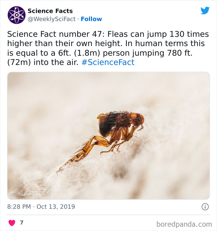 179 Science Facts That Are Deliciously Curious 179 Science Facts That Are Deliciously Curious