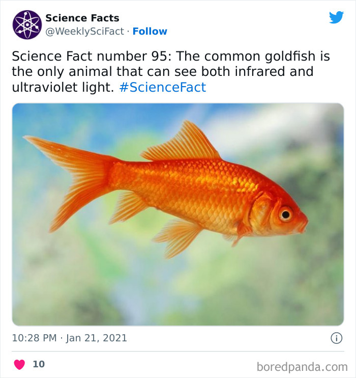 179 Science Facts That Are Deliciously Curious 179 Science Facts That Are Deliciously Curious