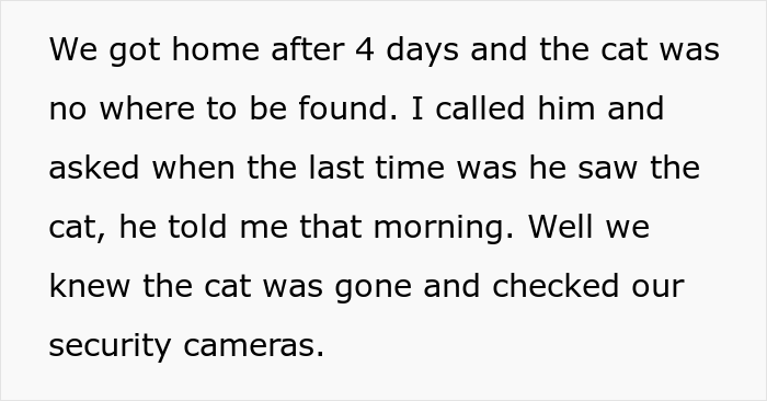 16 Y.O. Loses His Neighbor’s Cat That He Was Supposed To Pet Sit, His Mom Is Upset About The Neighbors Refusing To Pay For His Work 16 Y.O. Loses His Neighbor’s Cat That He Was Supposed To Pet Sit, His Mom Is Upset About The Neighbors Refusing To Pay For His Work