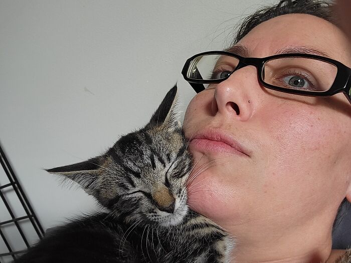 Hey Pandas, Post Pictures Of The Weirdest Cat Positions Here (Closed) Hey Pandas, Post Pictures Of The Weirdest Cat Positions Here (Closed)