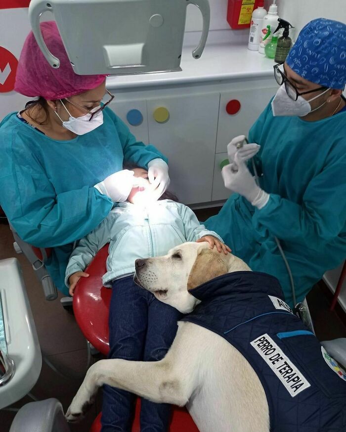 50 Hard To Explain But Impossible Not To Love Animal Pics, As Shared By This IG Page (New Pics) 50 Hard To Explain But Impossible Not To Love Animal Pics, As Shared By This IG Page (New Pics)