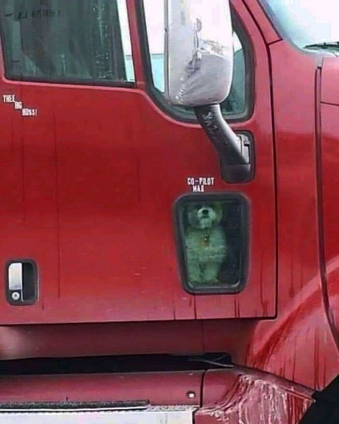 50 Hard To Explain But Impossible Not To Love Animal Pics, As Shared By This IG Page (New Pics) 50 Hard To Explain But Impossible Not To Love Animal Pics, As Shared By This IG Page (New Pics)