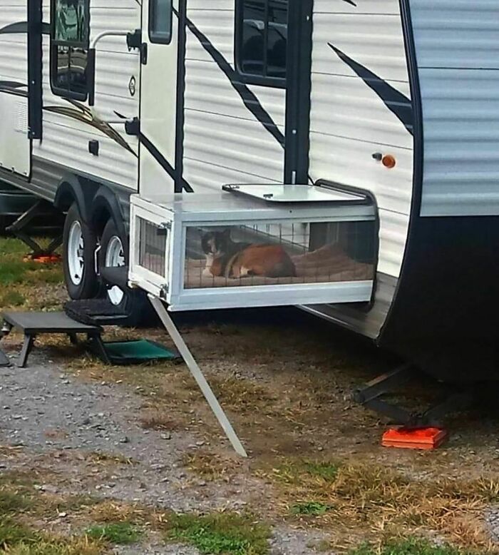 50 Hard To Explain But Impossible Not To Love Animal Pics, As Shared By This IG Page (New Pics) 50 Hard To Explain But Impossible Not To Love Animal Pics, As Shared By This IG Page (New Pics)