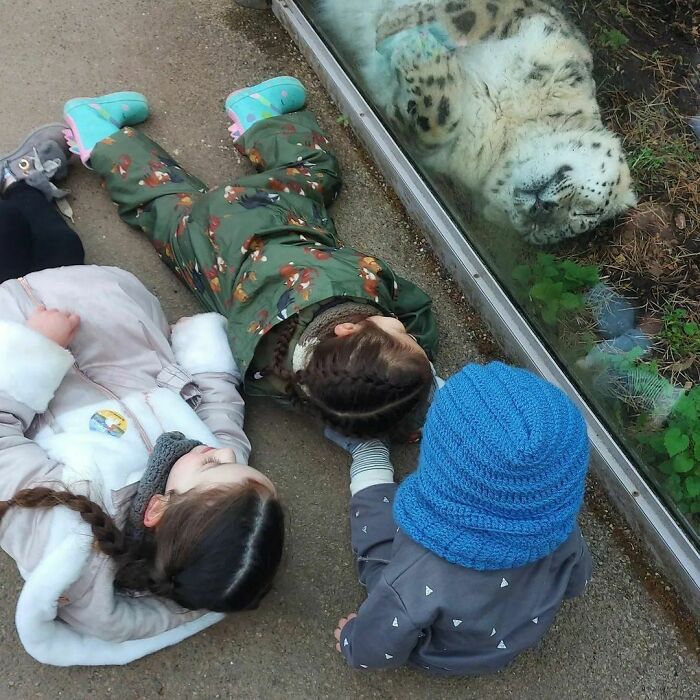 50 Hard To Explain But Impossible Not To Love Animal Pics, As Shared By This IG Page (New Pics) 50 Hard To Explain But Impossible Not To Love Animal Pics, As Shared By This IG Page (New Pics)