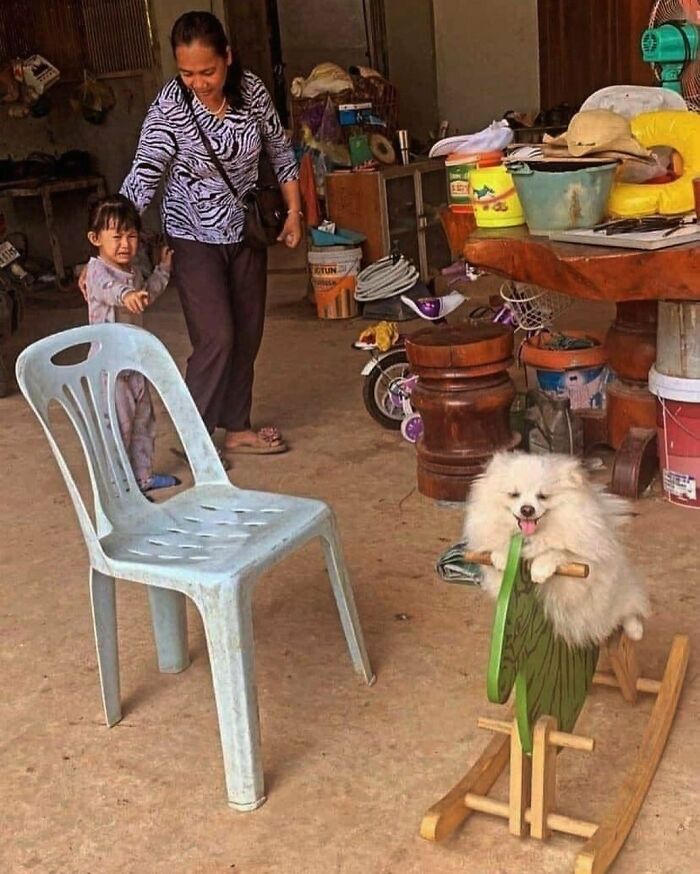 50 Hard To Explain But Impossible Not To Love Animal Pics, As Shared By This IG Page (New Pics) 50 Hard To Explain But Impossible Not To Love Animal Pics, As Shared By This IG Page (New Pics)