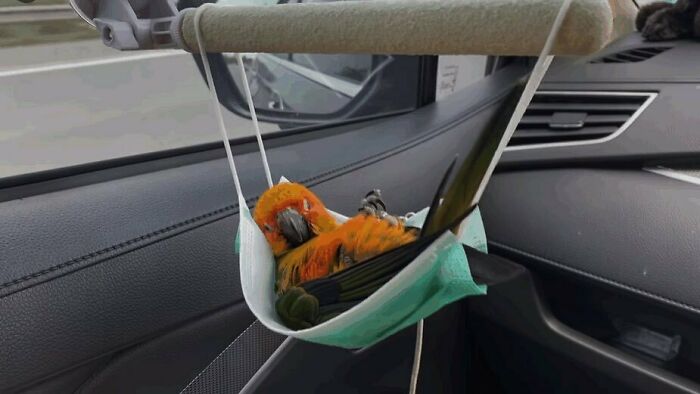 50 Hard To Explain But Impossible Not To Love Animal Pics, As Shared By This IG Page (New Pics) 50 Hard To Explain But Impossible Not To Love Animal Pics, As Shared By This IG Page (New Pics)